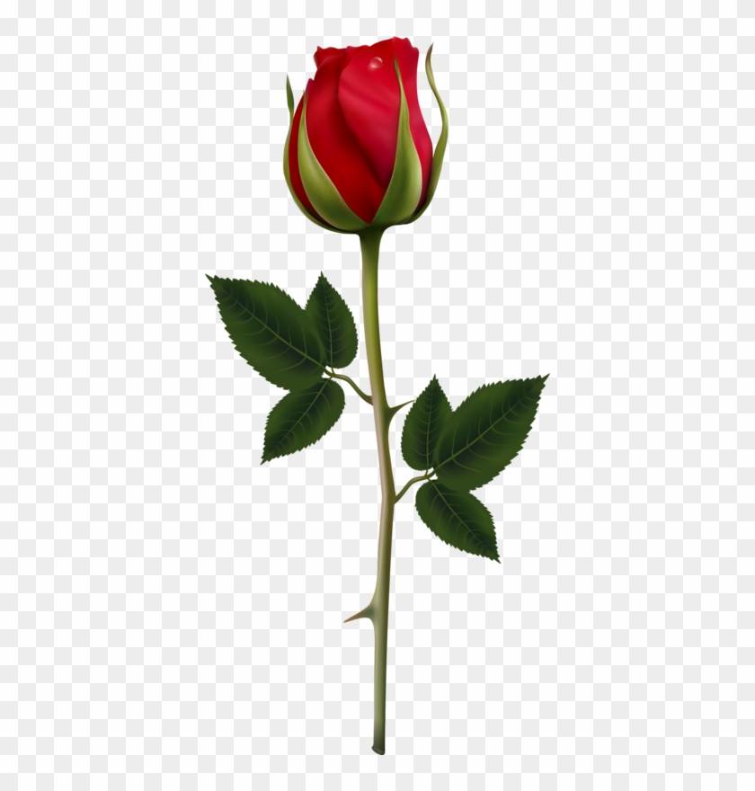 Inteligente, Flores, Rosas Rojas, Clipart, Flor, Decoupage, - Vector Rosa Roja #313973