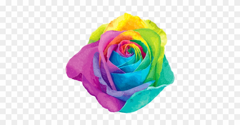 Rainbow Flower - Rainbow Rose Png #314312
