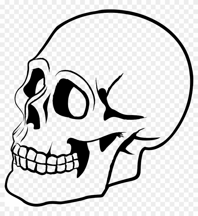 Skull Png - Skull Vector Png #314659