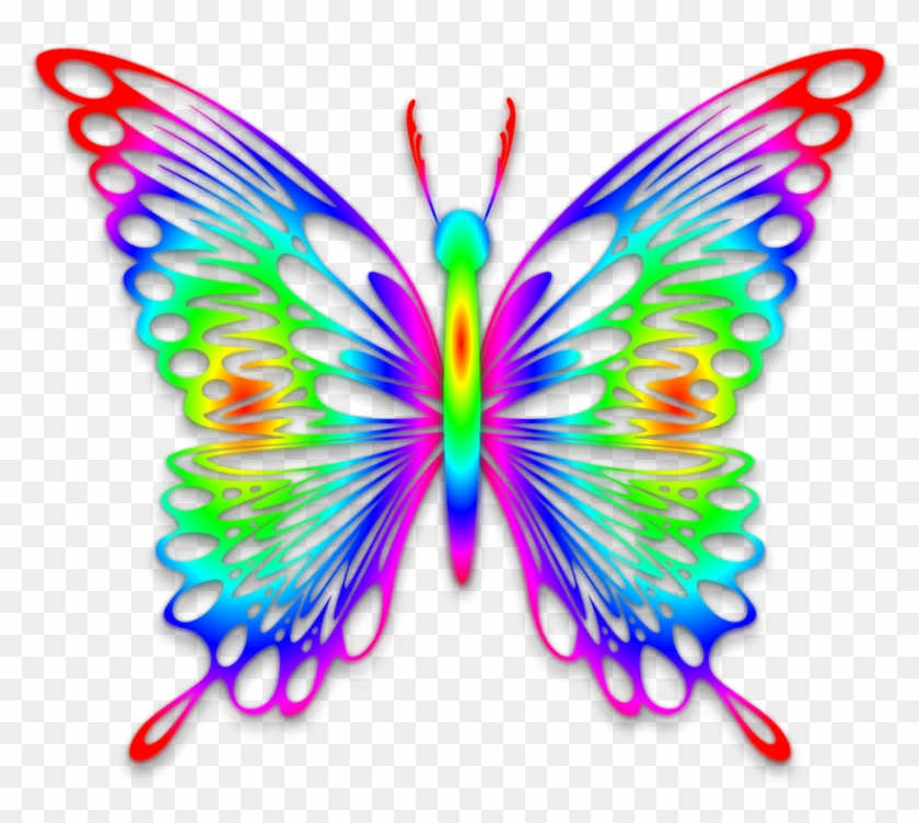 Butter Fly Ranbow Color #315253