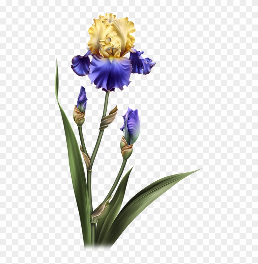 Clip Art #315348