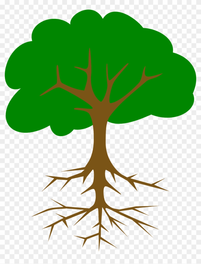 Tree Clip Art #315387
