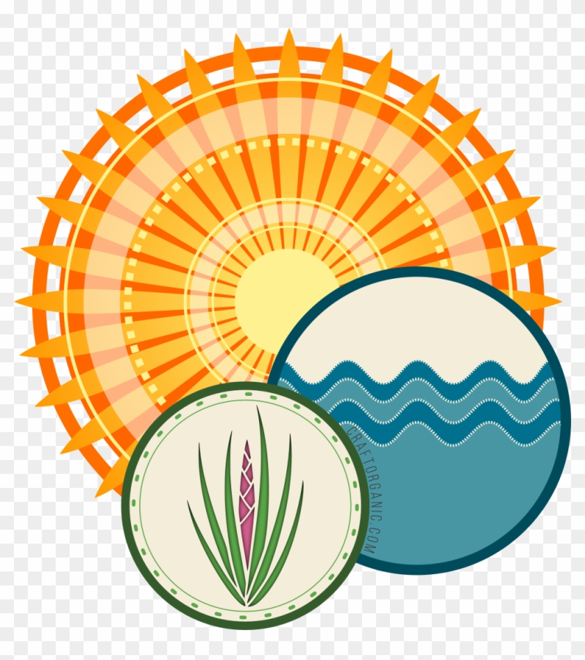 Also Know As Air Plants, Are Generally Easy To Care - Austin Clipart #315543