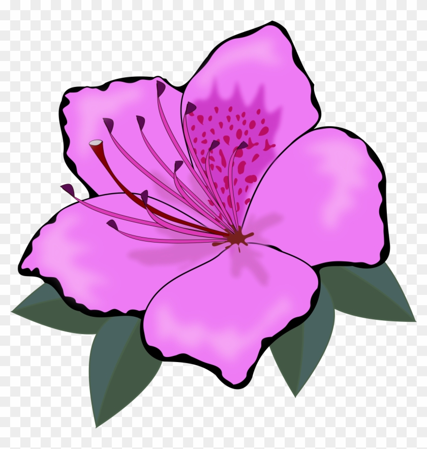 Flower - Flower #316002