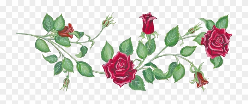 Rosevineborder Photo By Utherverse Rlc - Rose Vine #316136