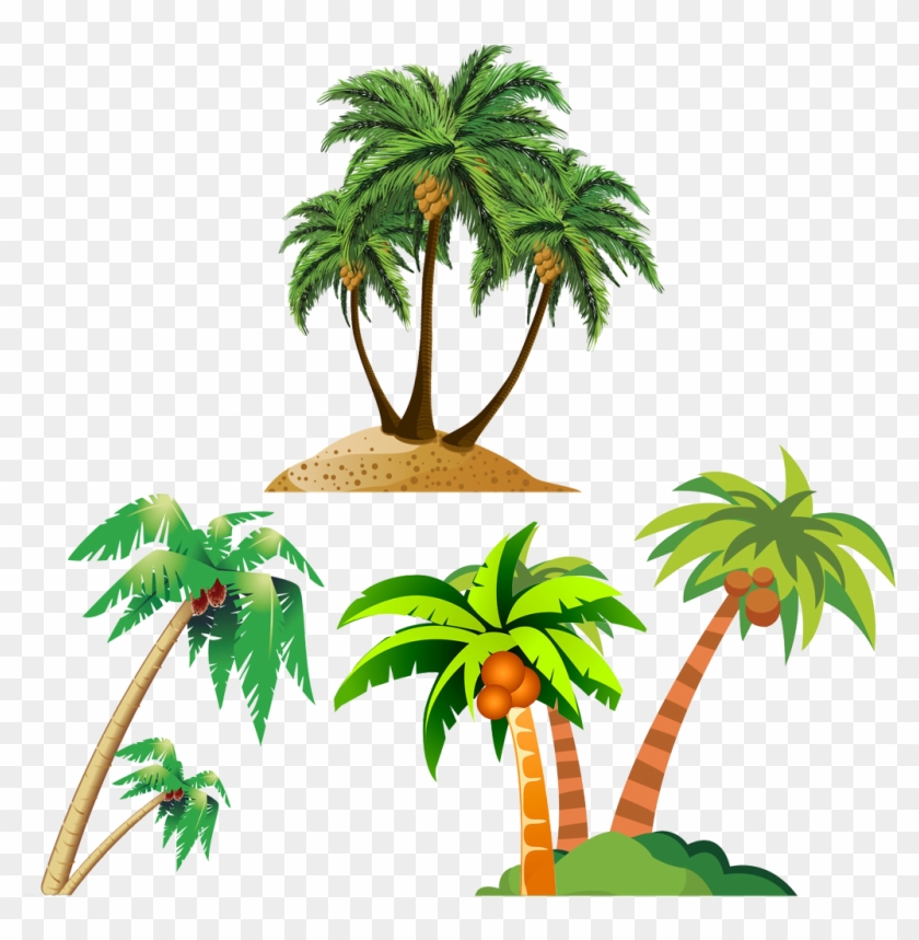 Coconut Arecaceae Cartoon Royalty-free - Coconut Arecaceae Cartoon Royalty-free #316403