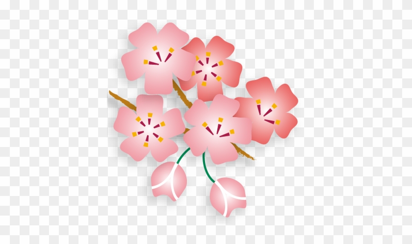 From - フリー 素材 桜 #316677
