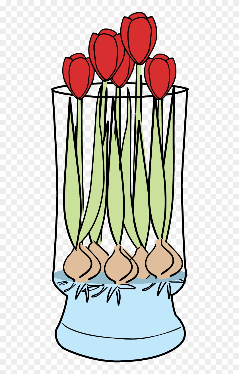 Tulips-faq - Tulips-faq #316773