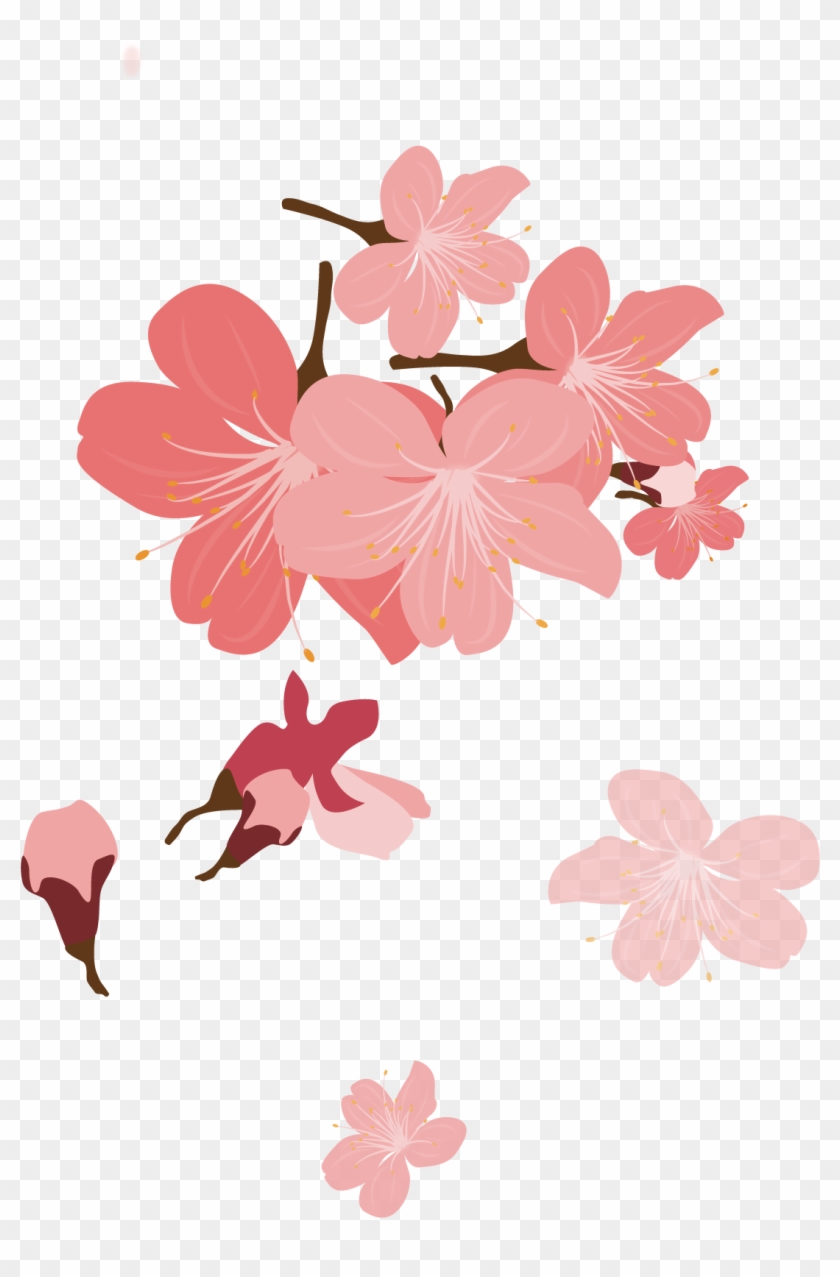 Cherry Blossom Petal Cerasus - Cherry Blossom Petal Cerasus #316832