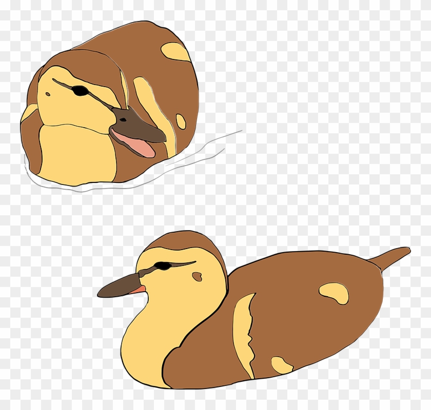 Quail Cliparts 24, Buy Clip Art - Bauernhofenten Keramik Herz-ornament #317468