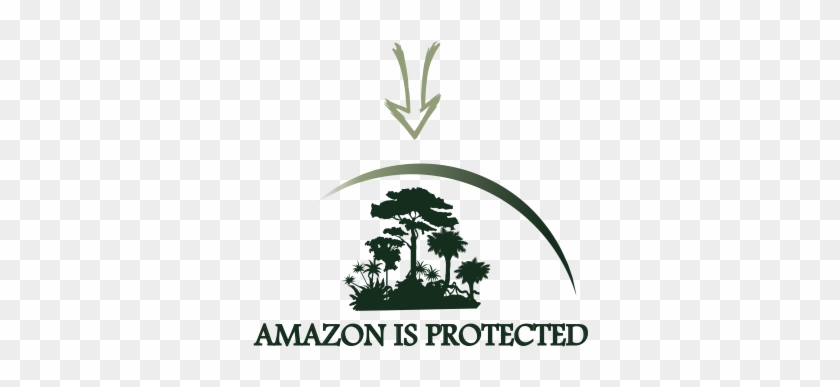 Arc Amazon Project Graphic Part4 - Tree #318060