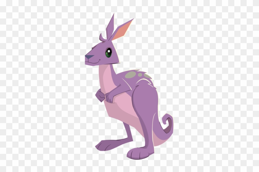   Animal #320050