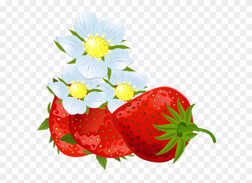 Photography Strawberry Clip Art - Photography Strawberry Clip Art #320183