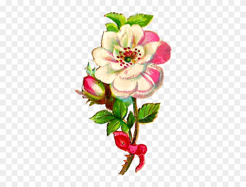 Free Flower Clip Art - Quran Verses About Youth #321424