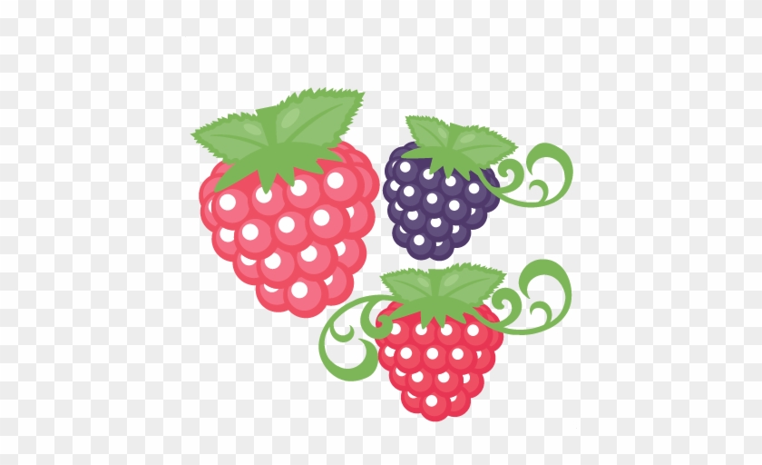 Blackberry Clipart Raspberry Pencil And In Color Blackberry - Raspberry Svg #321718