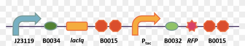 5 The Circuit Constructed By Bit-china - Diagram #322140