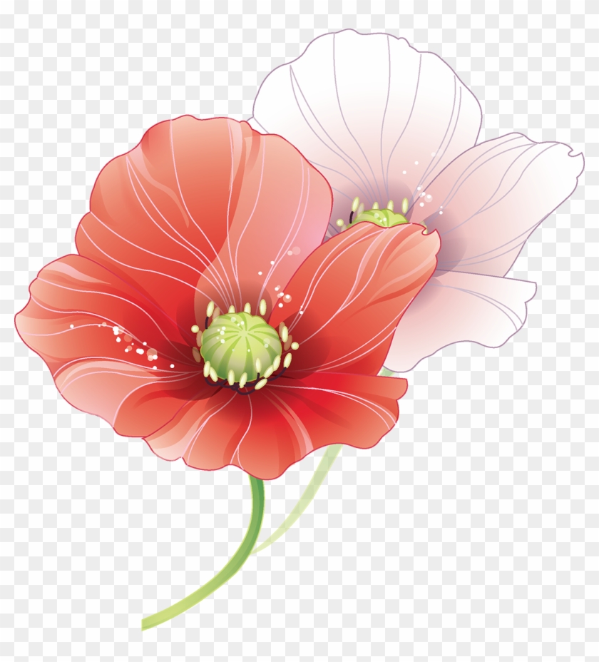 Tubes Fleurs - Wedding Vector #322768