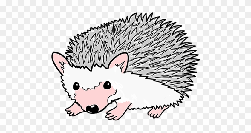 Mascot Porcupine Blurb Mascot Porcupine - Pet Store #323063