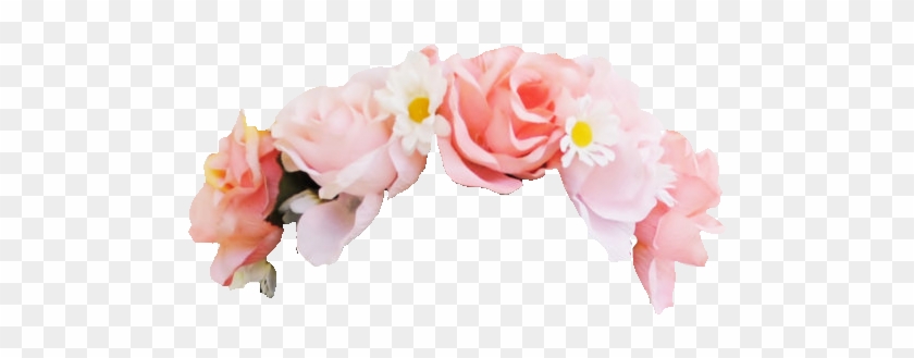 Pink Rose Clipart Png Tumblr - Flower Crown Transparent Background #323955