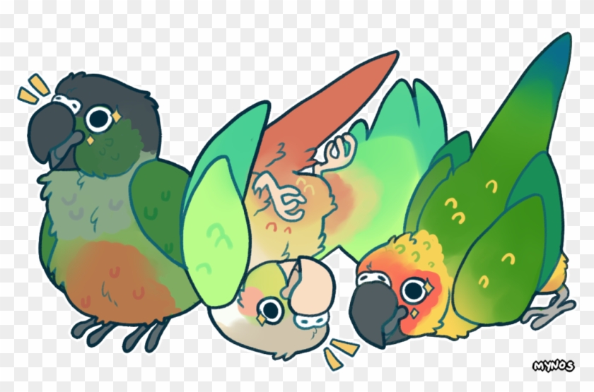 All Hail Bird Orb By Mynosylexia - Sun Conure And Green Cheek Conure #324629
