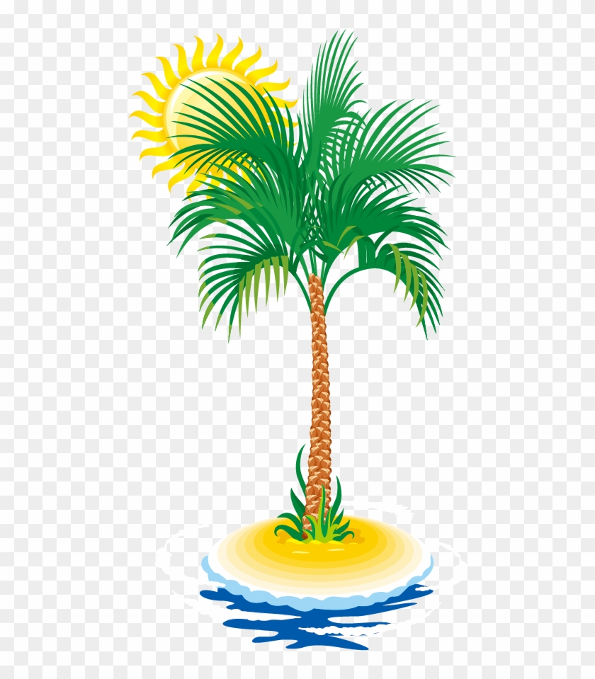 Euclidean Vector Coconut Tree Arecaceae - Euclidean Vector Coconut Tree Arecaceae #324651