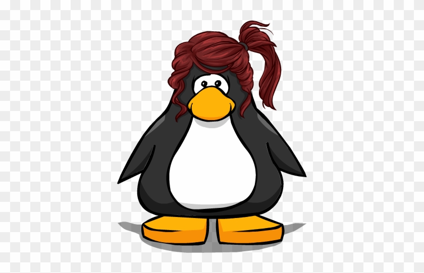 The Summer Sidetied From A Player Card - Club Penguin With Hat #325801