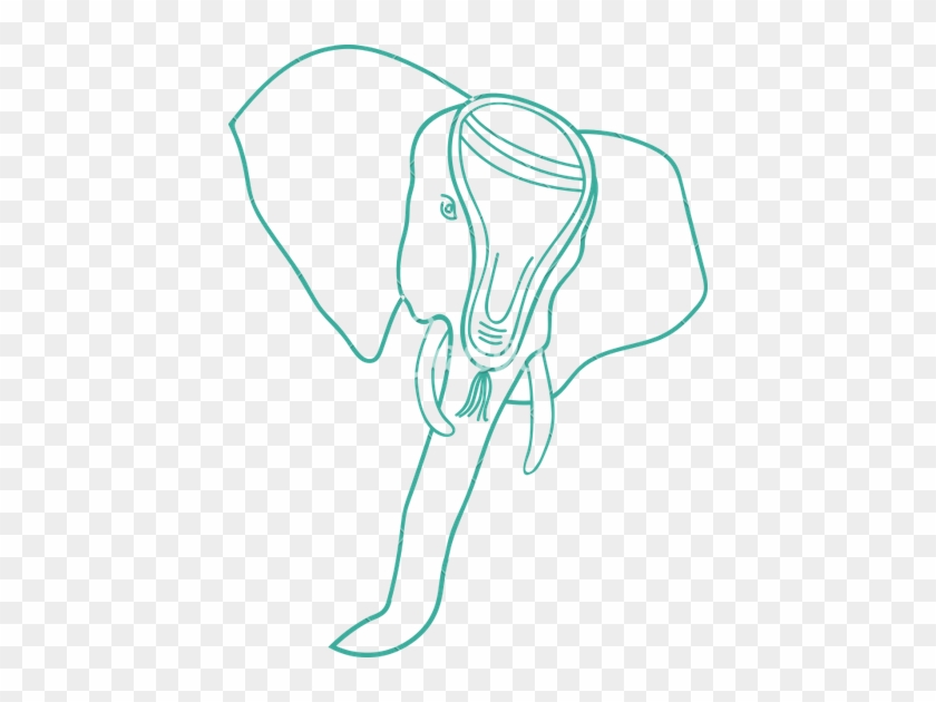 Elephant Face - Elephants #327299