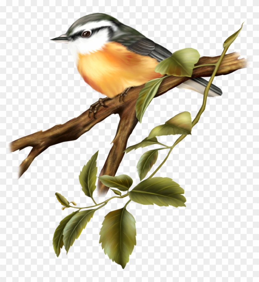 Bird - Oil Painting Birds With A Branch Decorative Hanging #328824