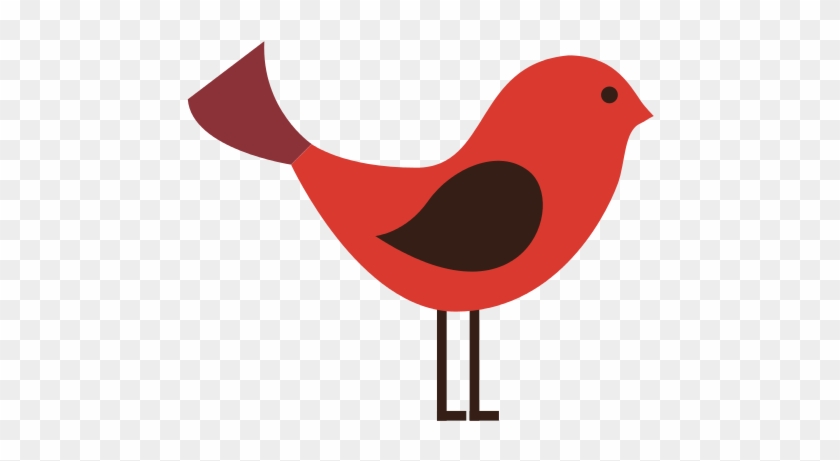 Cute Bird Animal Isolated - Bird #328991