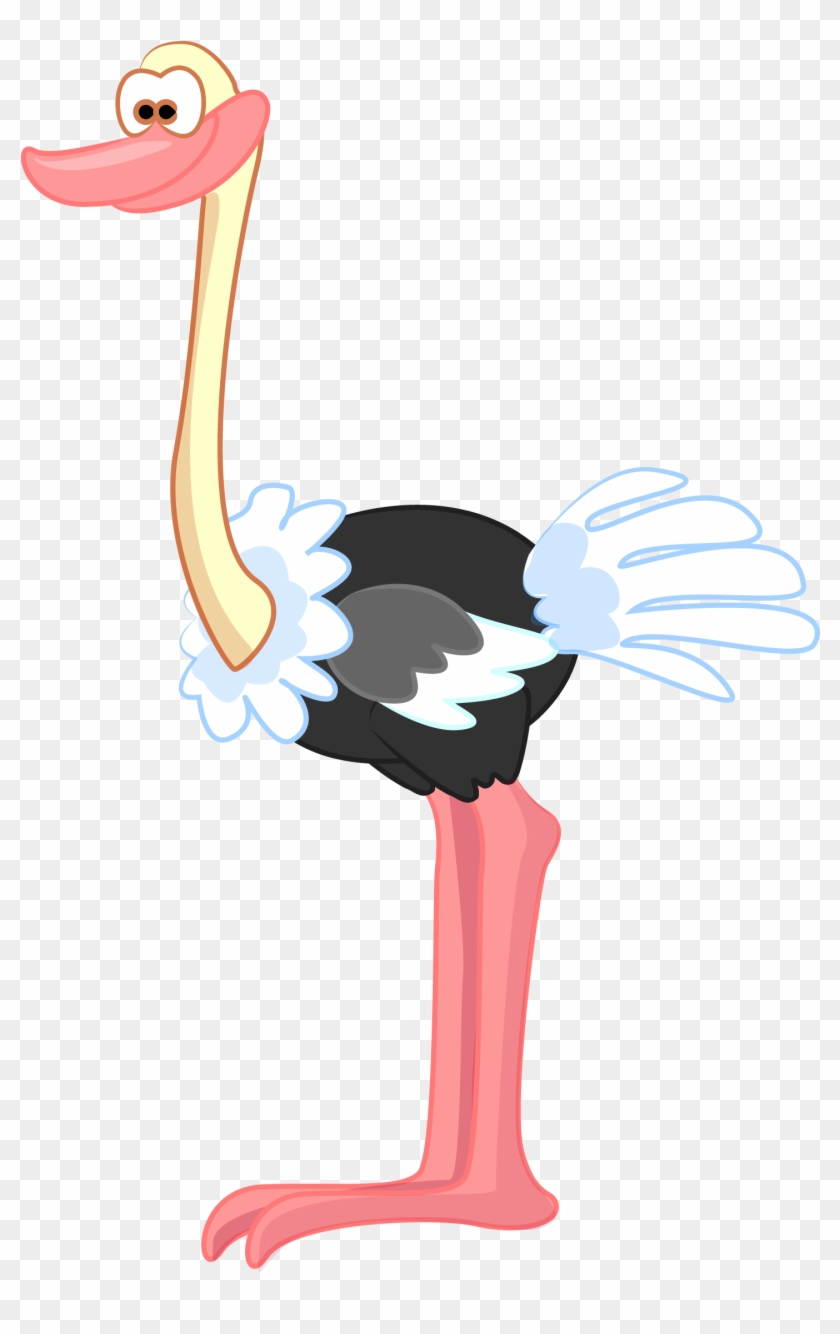 Common Ostrich Drawing Bird Illustration - Common Ostrich Drawing Bird Illustration #329083