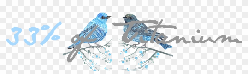 33% Of Titaninum - Indigo Bunting #329241