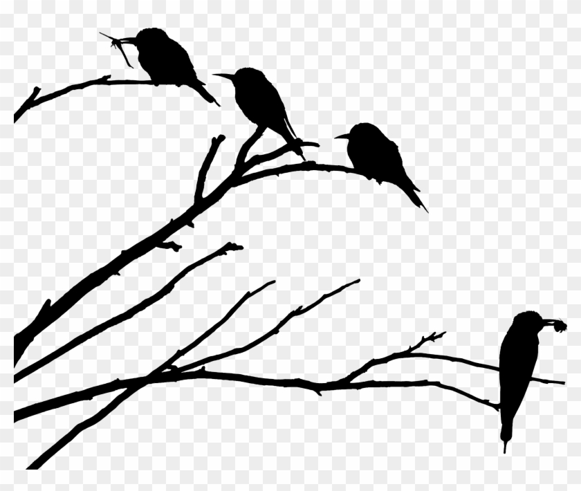 Big Image - Bird On Branch Silhouette Png #329431