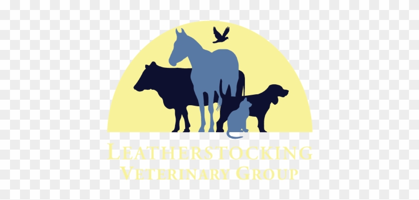 Logo - Veterinary Logo Png #329519