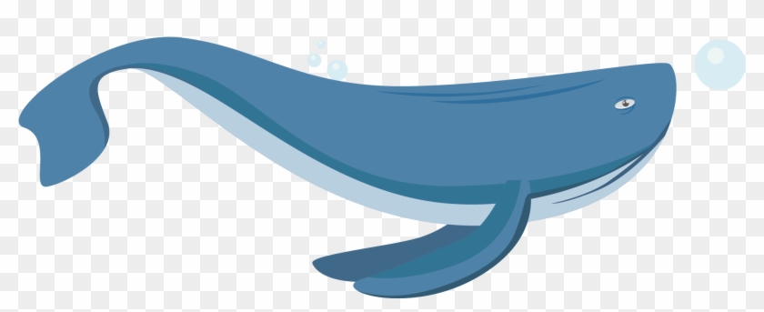 Furniture Marine Mammal - Furniture Marine Mammal #329886