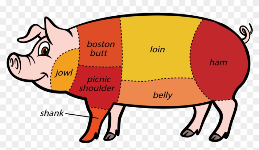 All Bacon Is Cured, Smoked Pork But It Comes From 3 - Cut Of Beef #329941