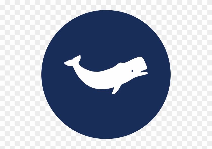 Whale #329955