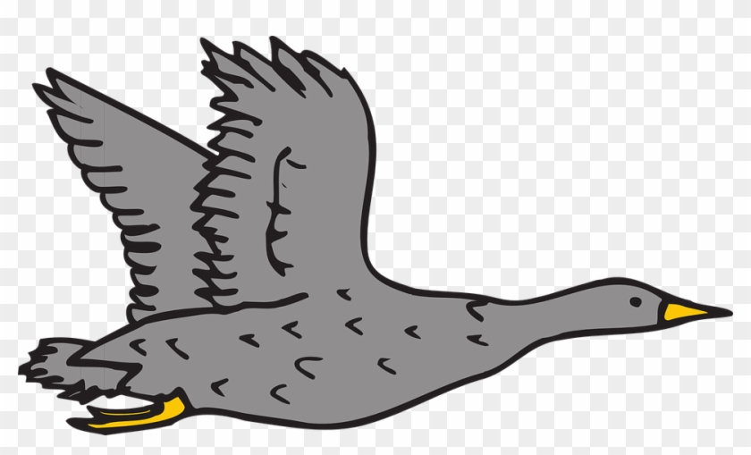 Swan Cliparts 23, - Desenho De Ganso Voando #330053