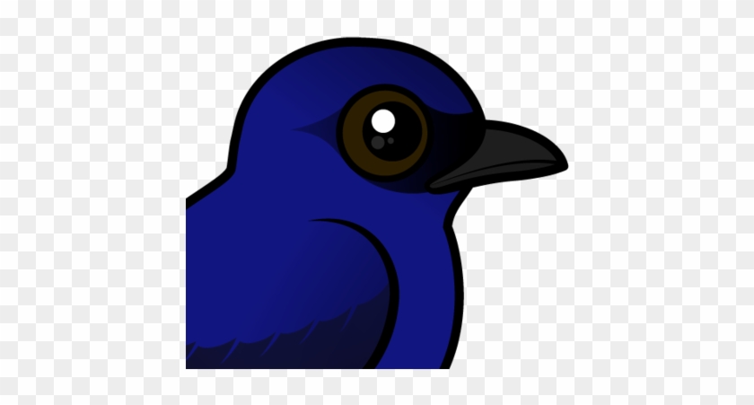 About The Purple Martin - Purple Martin #330073