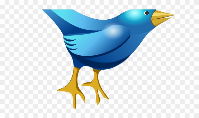 Bird Cartoon - Bird #330141