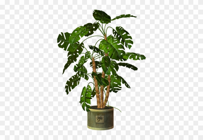 Garden Pot Plant - Potted Plants Png #330701