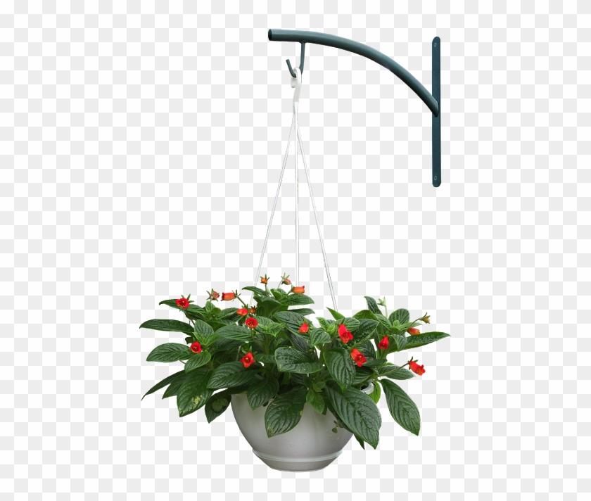Thư Viện Cây Photoshop - Hlc Antique Metal Plant Stand With Solar Light, Black, #330754