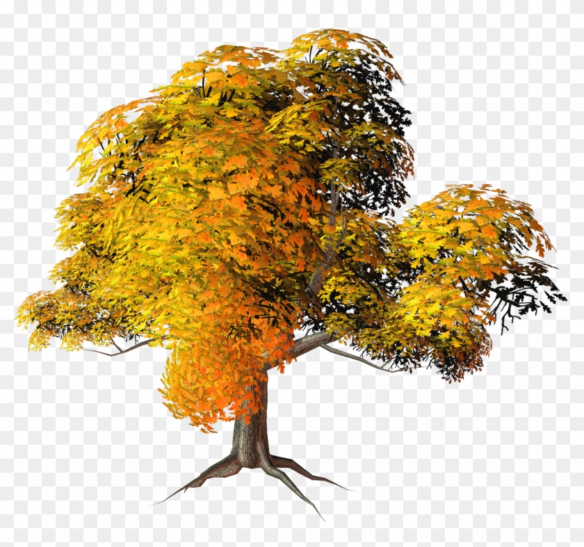 Has Found 20 Trees With Transparent Background - Fall Trees Png #331248