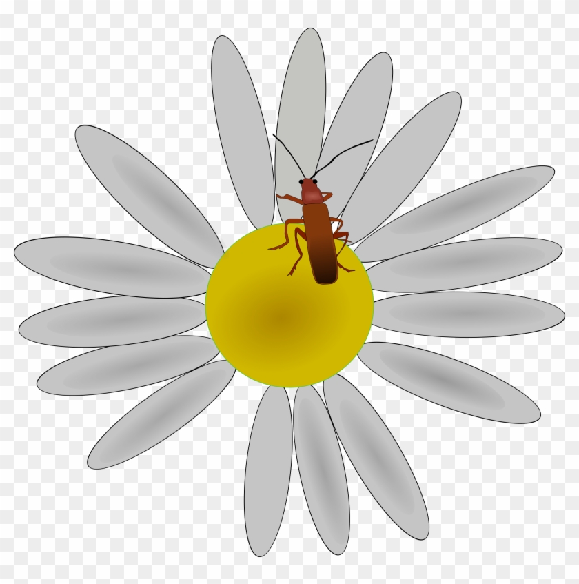 Clipart - - Clip Art #331251
