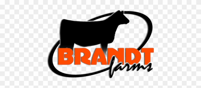 Nestled In The Rolling Hills Of Southwest Iowa, Raising - Brandt Farm #332199