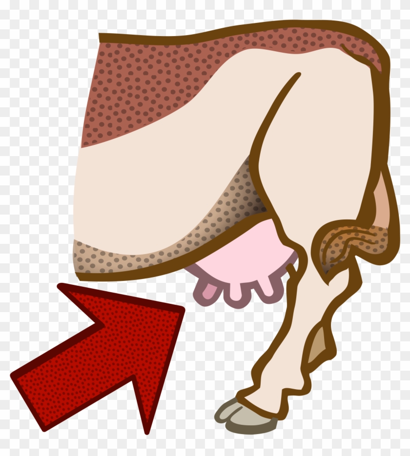 Udder - Coloured - Cow Udder Clipart #332690