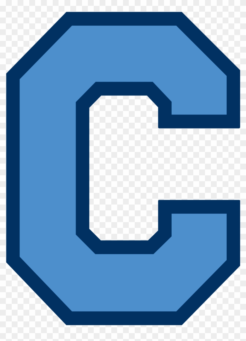 Citadel Bulldogs Logo #333776
