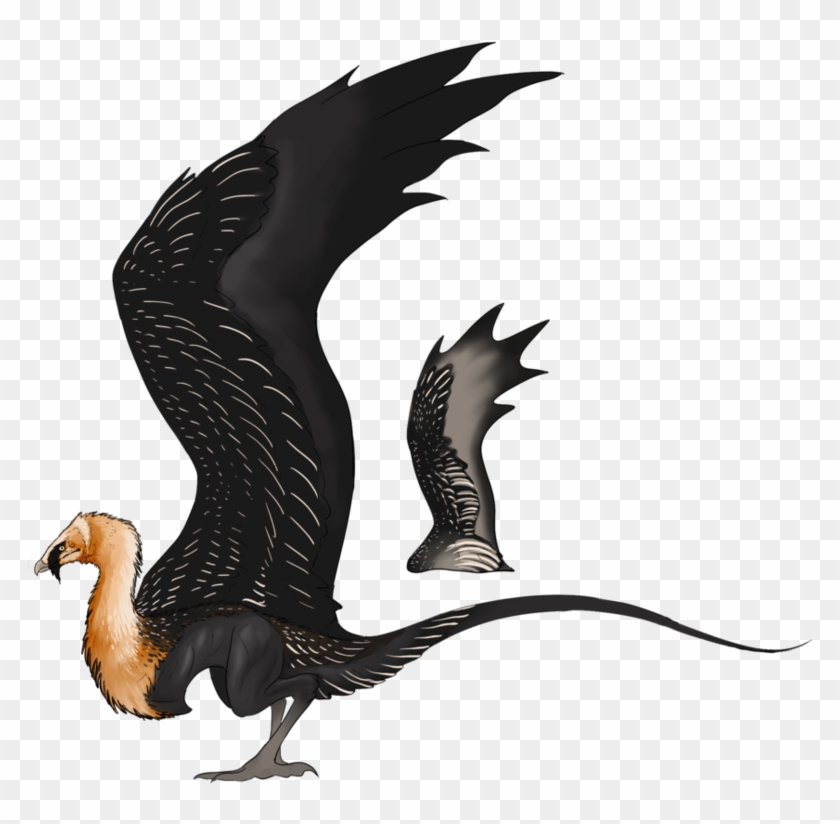 Aveum Accipitridae - Hesperornis #334007