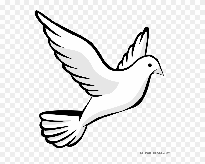 Pigeon Clipart Page 2 Of 4 Clipartblack Com Rh Clipartblack - Transparent Background Dove Clipart #334401