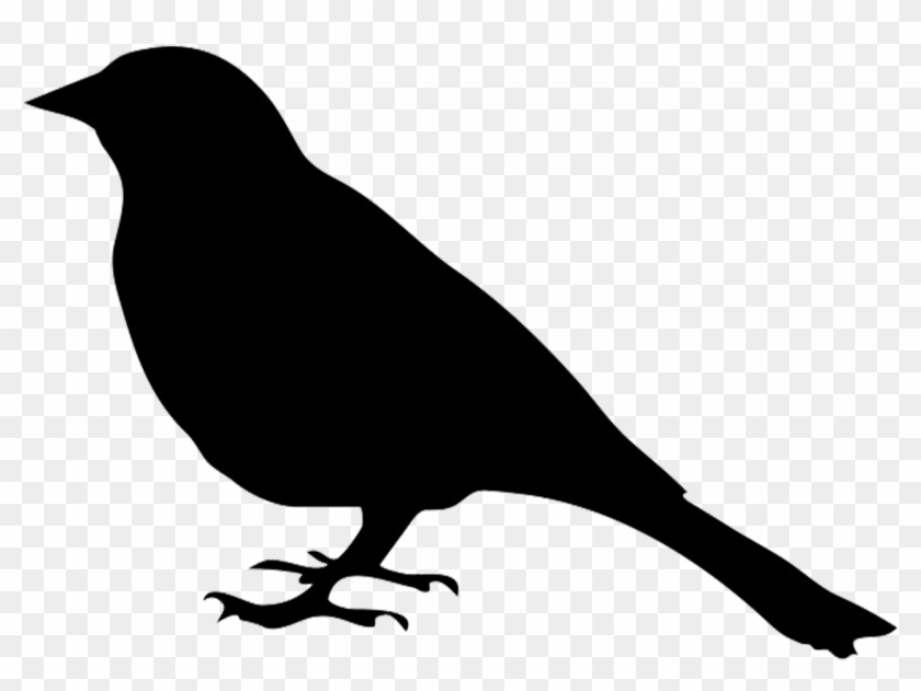 Silhouette Of Bird - Vector Graphics #334652