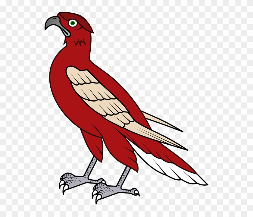 Falcon Animation Clip Art - Falcon Animation Clip Art #334760